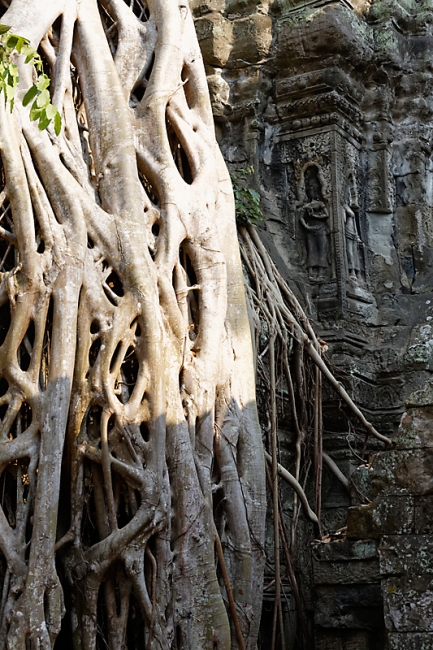 Ta Phrom et environs-097